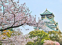国安防线软肋两场遭鲁能打爆 国脚三零数据太尴尬